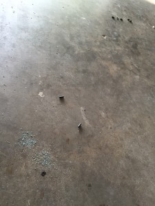 Rodent droppings in Diamondhead.